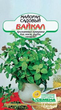 ������� ������ �������