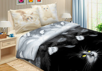 ������� ���������� ����� �� ������� �����