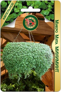 ����� ���� ��������