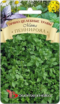 ���� ���������