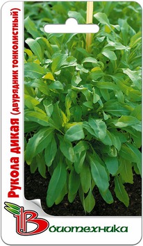 ������ ����� (��������� ������������)