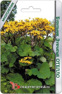 ��������� �������� ������