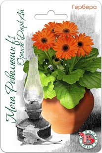 ������� ��������� ���� �������� F1 ����� ���� ��