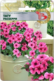 ���������� ������� (�����) ���� ��������