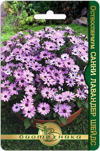 ������������ ����� �������� �����