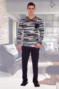 ������ 2491