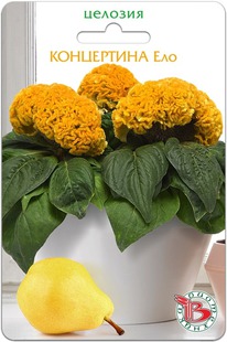 ������� ��������� ���������� ���