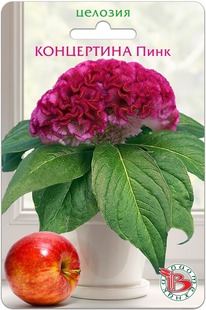 ������� ��������� ���������� ����