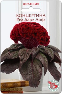 ������� ��������� ���������� ��� ���� ���