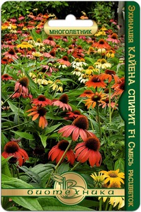 �������� F1 ������ ������ F1 ����� ���������