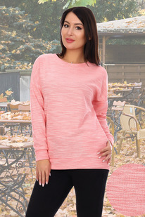 ������ ���������