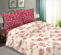 ������� ���������� ����� �� ���� �����