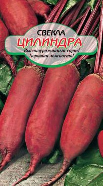 ������ �������� ��