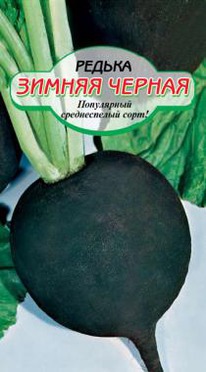 ������ ������ ������