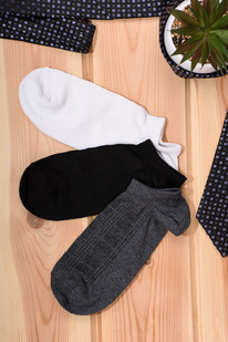 ����� ����� �������