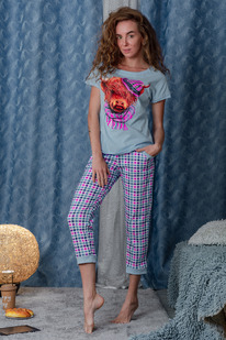 ������ 24804