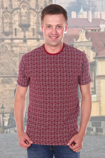 �������� 17506