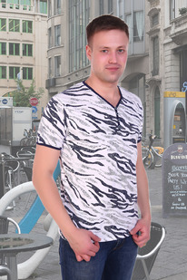 �������� 17501