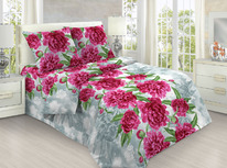 ������� ���������� ����� �� ���� (150��) - ����� (2134)