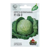 ����� �� 12.24. ������� ������������ ��-3 F1 ��� ���