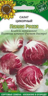 ���� ����� �������� �����