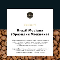 ���� �������� �������