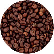 ���� ����