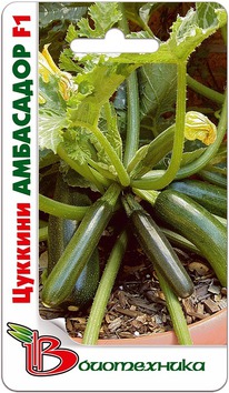 ������� ��������� F1