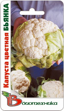 ������� ������� ������