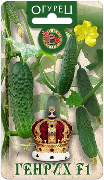 ������ ������ F1