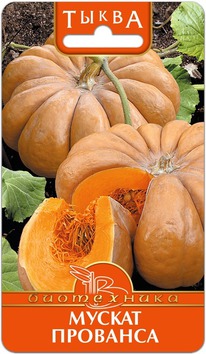 ����� ������ ��������