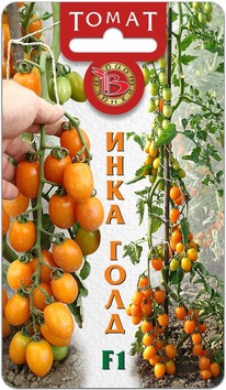 ����� ���� ���� F1