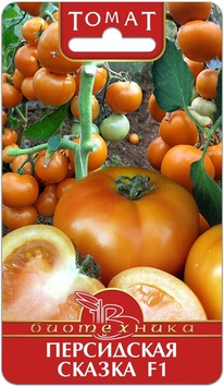 ����� ���������� ������ F1