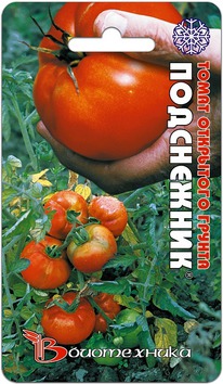 ����� ����������