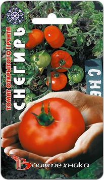 ����� �������