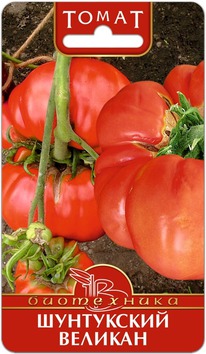 ����� ���������� �������