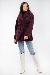 ������ ������� ������������ (����)