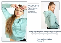 �������� WZ1A2-40 ��������� ������� BROSTEM