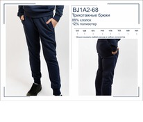 �������� BJ1A2-68 ����� ����������� ��� ��������� BROSTEM