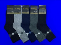 ELISES ����� ����� ������� ������� ������ ������ ����� � �������� ���. �-103 (�-