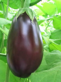 ������ �������� ������� �� 12.2022