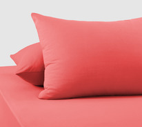 ��������� ����������� ���� 120 �/�2 ����������