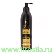 �������-����������� ��� ����� ������������ 