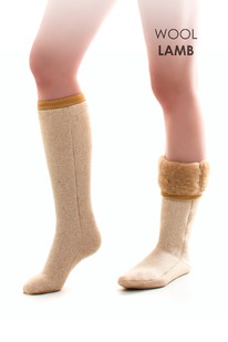 ������ ������� ���������� ��������