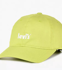 LS POSTER LOGO FLEXFIT CAP Pale Green