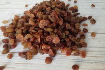 ���� ���������, 0,5 ��