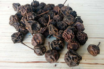 ����� �����, 0,5 ��