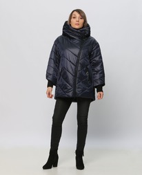 ������ RLR dm00172