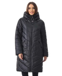 ������ RLR dm00158