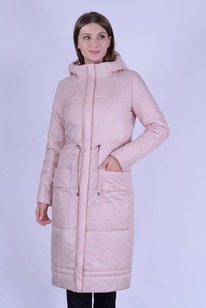 ������ ����